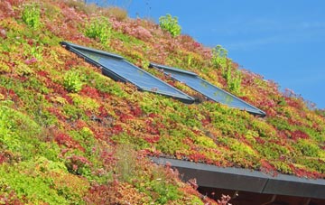 Upper Stratton living roof systems